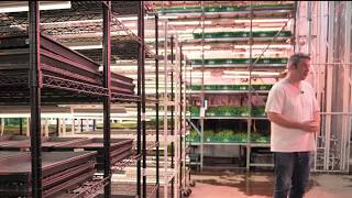 Indoor farming takes off in Arlington | NBC4 Washington