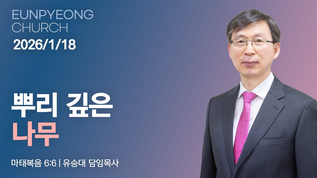 뿌리 깊은 나무