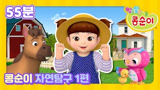 콩순이와 동물 친구들을 만나요ㅣ자연탐구 1편ㅣ7대 발달 영역ㅣ55분 이어보기