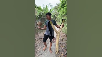 Ná cao su to nhất việt nam