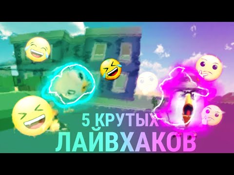 Video: Майдаланган рельммоптарды кантип бышырууга болот?