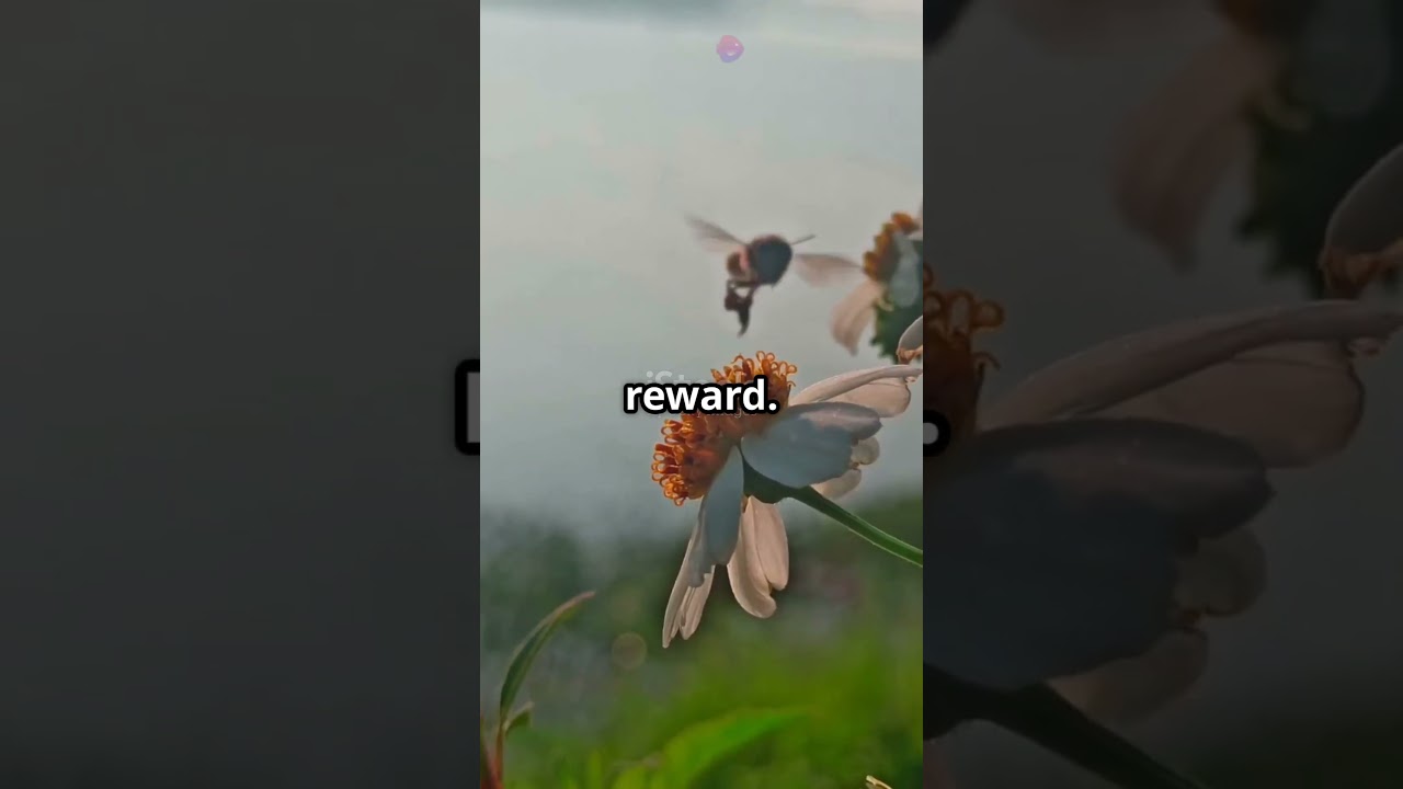 5 Life Changing Habits to Transform Your Life 🌄 From Atomic Habits! 