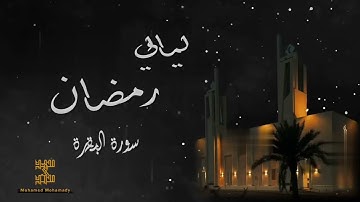 ما تيسر من سورة البقرة القارئ محمد محمدي | ليلة ٣ رمضان 1444