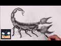 How To Draw A Scorpion Sketch Tutorial 