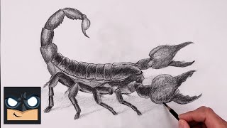 How To Draw a Scorpion | Sketch Tutorial