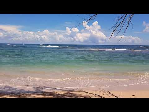 Beaches, rockets,waterfalls & springs! Roaming Bath Beach with a stop ...
