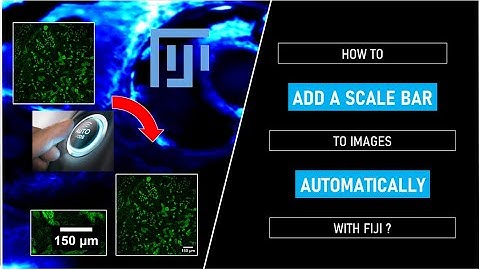How to add a scale bar to images automatically with FIJI ?