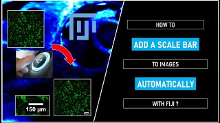 How to add a scale bar to images automatically with FIJI ?