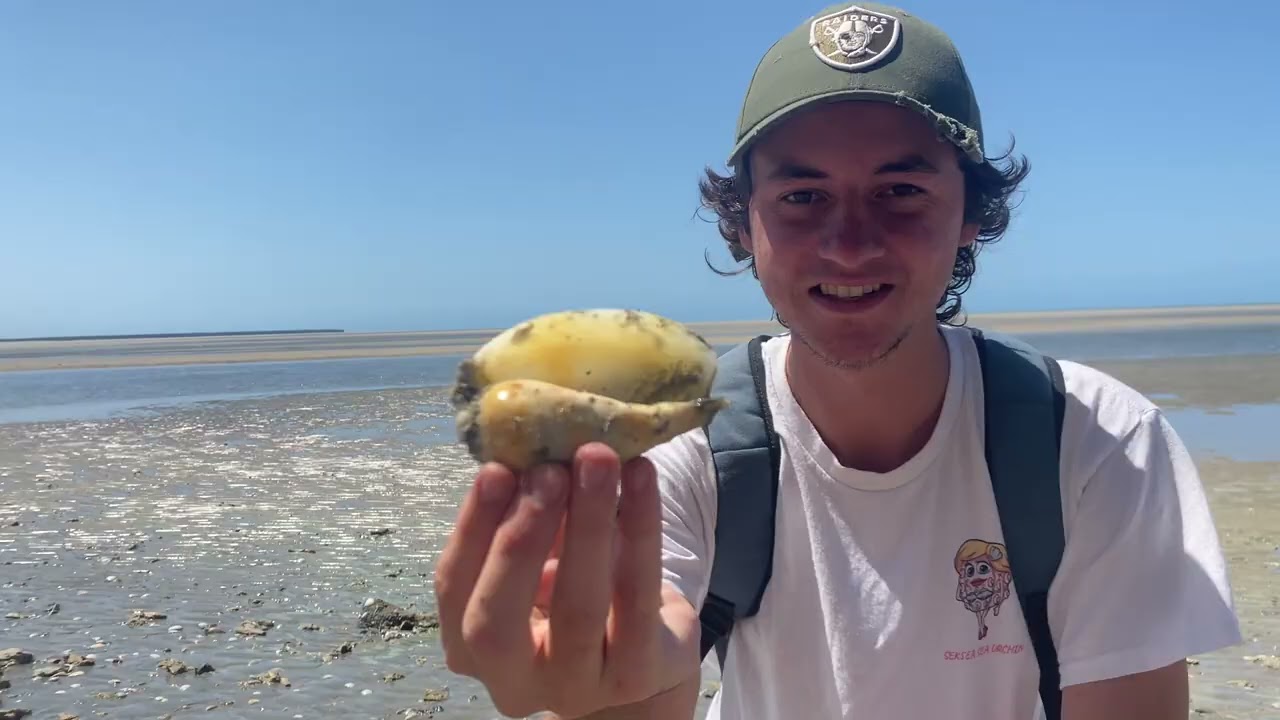 Обнаружение окаменелостей возрастом 10 миллионов лет в заливе Херви-Бей: сбор ракушек во время от...