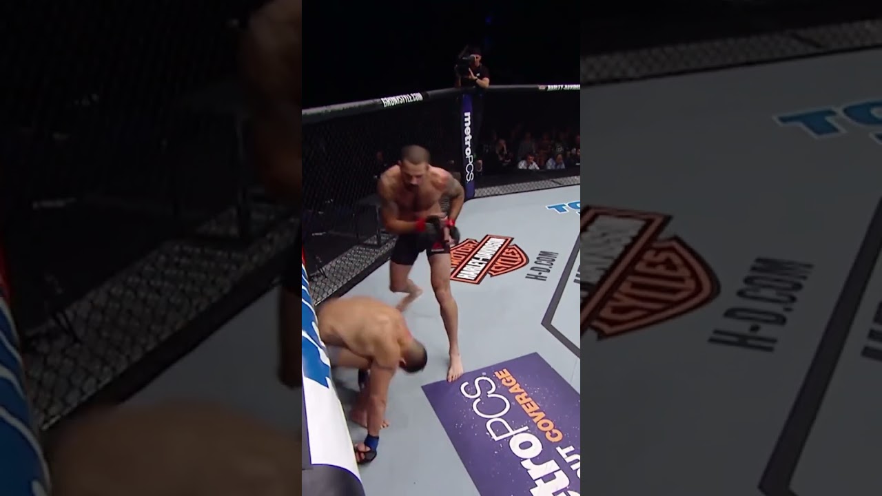 UFC Matt Brown Knockout 