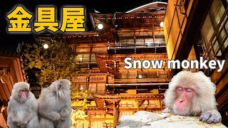 信州 渋温泉 『歴史の宿 金具屋』さんと『 地獄谷野猿公苑』のおサルさんたち♪　～ Snow Monkey Park ～