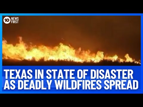 Texas Declares State Of Disaster As Wildfires Takeover State Killing at ...