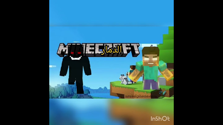الهيروبراينvs مستر تورش