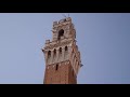 Piazza del Compo, Siena - 🇮🇹