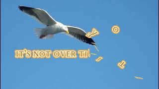 LOVELY DAY BY: KAT MCDOWELL   #songandlyrics