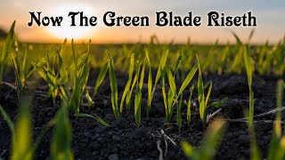 Now The Green Blade Riseth