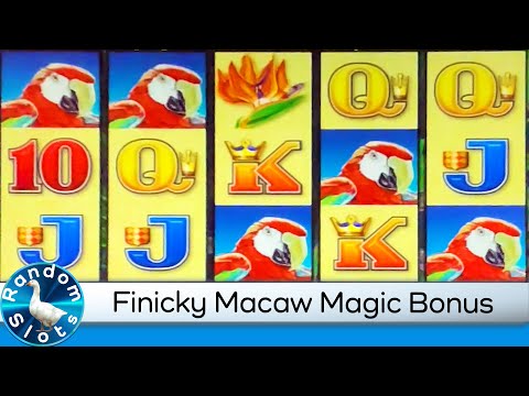 Macaw Magic Slot Machine Bonus