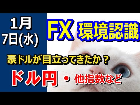 【TAKA FX】豪ドルが目立つ！　ドル円、他各通貨の環境認識解説　1月7日(水)