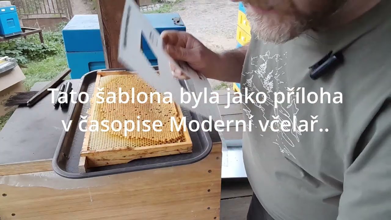 Pin test - důležitá součást selekce