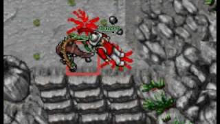 Tibia lvl 32