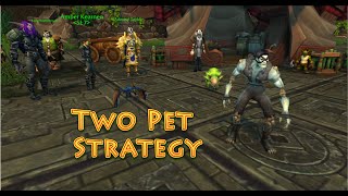 Dr. Ion Goldbloom (Celestial Tournament) Two Pet Strategy Guide
