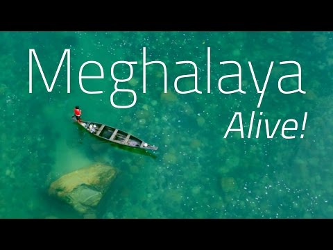 Meghalaya Alive! The Wettest Region on Earth.