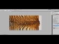Wrap a Texture or Pattern Around an Object using Displacement Map Tutorial - Photoshop Training 2018