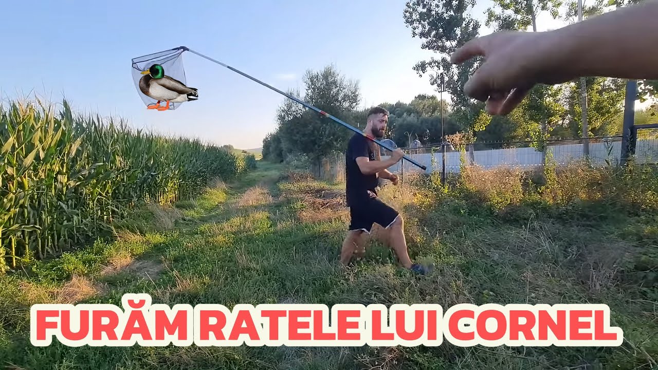 Video Special Part 2 Furăm ratele lui Cornel de acasă de la el !! 