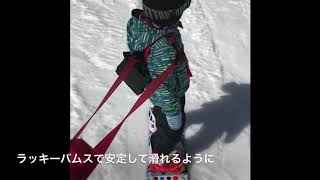 SION #4 3歳　ラッキーバムス