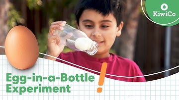 Egg in a Bottle Science Trick | Backyard Science Lab | KiwiCo