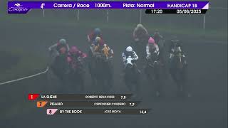 Vidéo de la course PMU INMENSITY