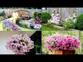 🌺Сад - территория творческая Идеи для воплощения / Garden ideas for implementation / A - Video