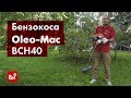 Обзор бензокосы Oleo Mac BCH 40 T