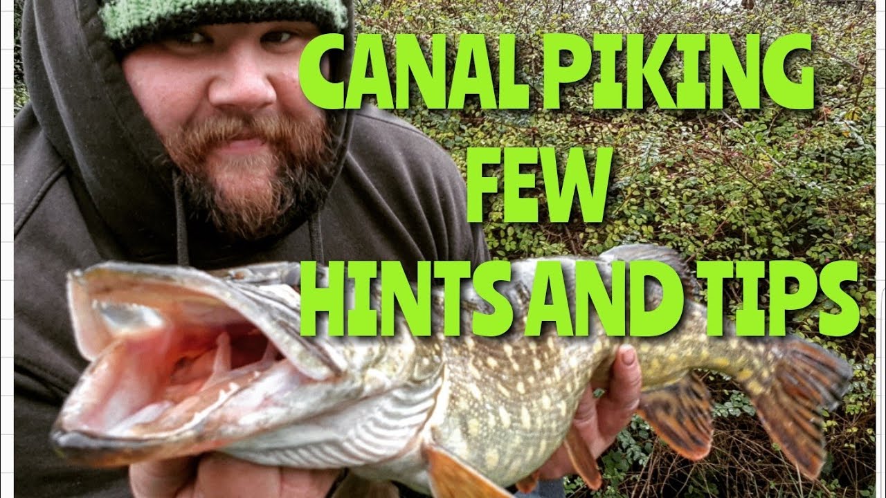 Fishing For Pike On Canals Few Hints And Tips Youtube