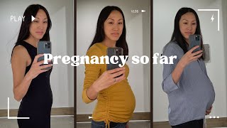 My Pregnancy so far | Baby Boy