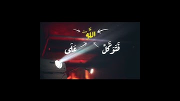 ﴿ فَتَوَكَّلْ عَلَى اللَّهِ ۖ إِنَّكَ عَلَى الْحَقِّ الْمُبِينِ﴾[ سورة النمل: 79] #المنشاوي