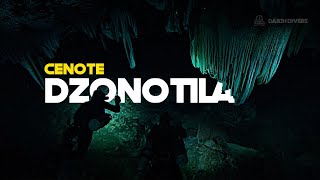 Descubre el lado oscuro del cenote Dzonotila 4K