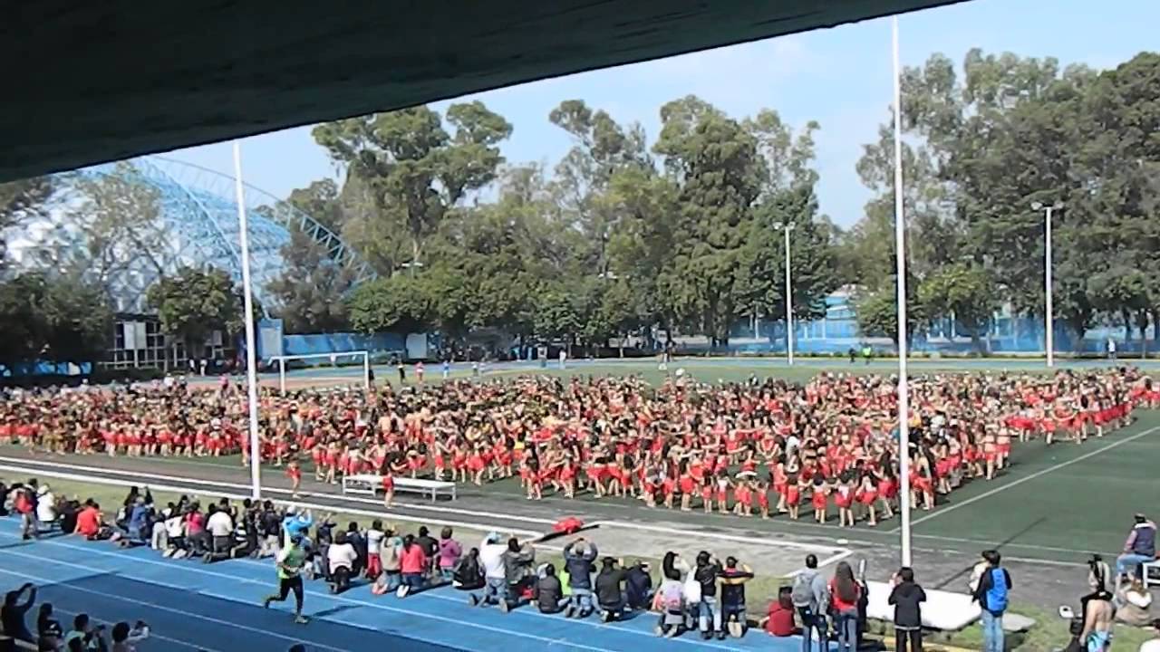 RECORD GUINNESS - YouTube
