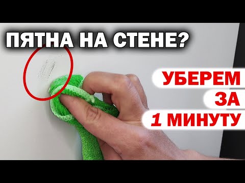 Чем ОТМЫТЬ ПЯТНА на окрашенной стене, чтобы она снова была ИДЕАЛЬНО ЧИСТАЯ