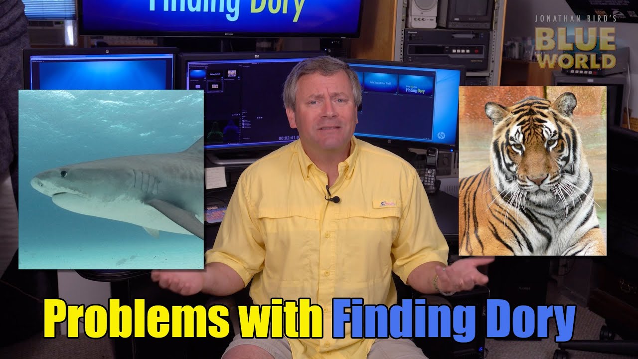 Diving Into Finding Dory | BLUE WORLD ACADEMY