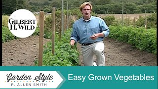 Easy Ways to Grow Vegetables | Garden Style (104)