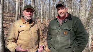 High Grade Timber Harvesting is Bad News for Forest Landowners by Penn State Extension 834 views 1 month ago 3 minutes, 49 seconds