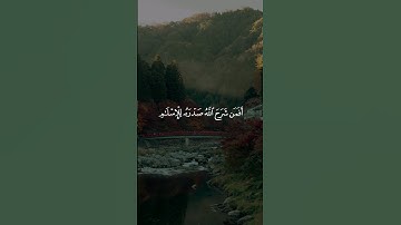 القارئ: ياسر الدوسري سورة: الزمر اية: (22- 23)  #قرآن #قرآن_كريم #راحة_نفسية #قران_كريم #حالات_واتس
