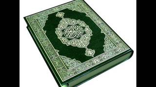 تلاوة الشيخ الزين محمد أحمد سورة الاعلى
