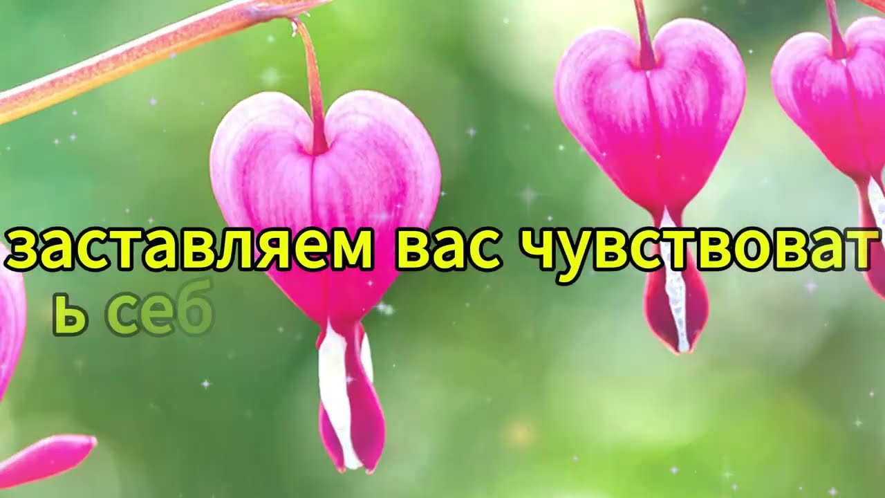 на которые женщина почти никогда не отвечает прямо — мужчины обязаны это знать