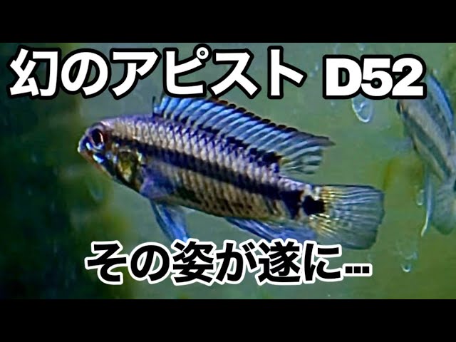 sddefault.jpg