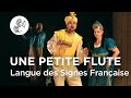   tce live  une petite flte daprs mozart  opra jeune public  lsf