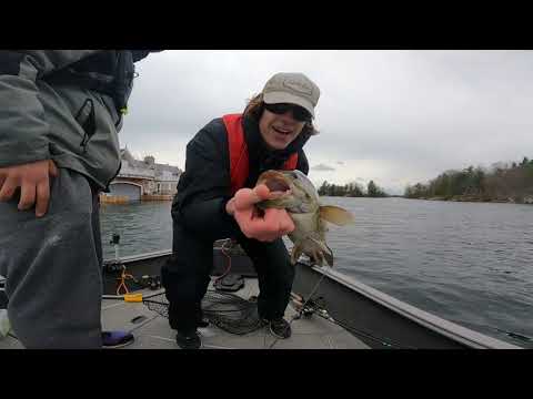 Thousand Islands Smallmouth Bass Fishing