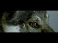 Grafa - Instinkt (official video) Mp3 Song