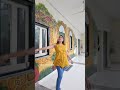 Complete wall.... Day 15.... #walldesigning #interiodesign #designer #artist #lovepainting